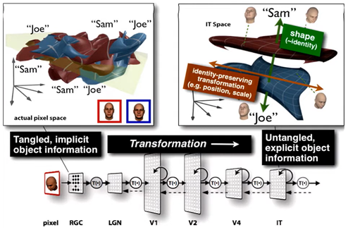 image-20241225192008099